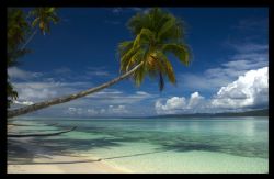 Taken at Kri Island in Papua. Used Nikon D1x by Scotty Graham 